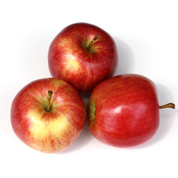 Apples Jazz (Each)