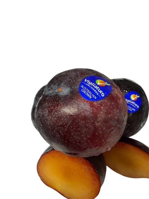 Plum Tegan Blue (Each)