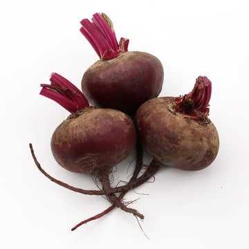 Beetroot - Head Only (Each)