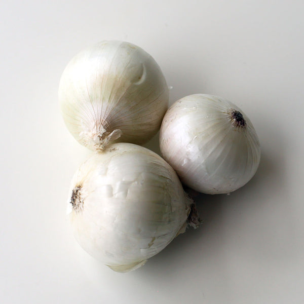 Onion White (Each)