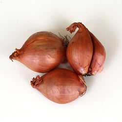 Onion Golden Shallots (Each)