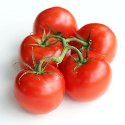 Tomatoes Truss (Each)