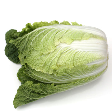 Cabbage Wombok