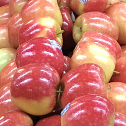 Apples Kanzi (Each)