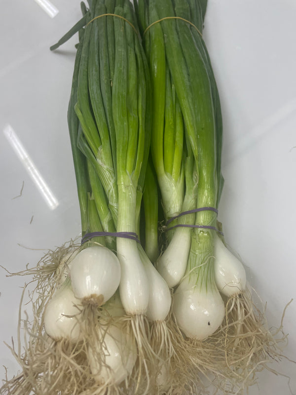 Spring Onions (bunch)