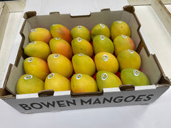 Mangoes Premium Small Medium Kensington Pride (Tray Sales)