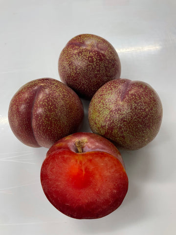 Plum Plumogranate