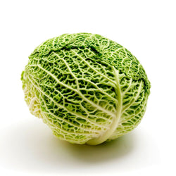 Cabbage Savoy