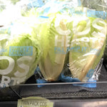 Lettuce Cos Twin Pack (Each)