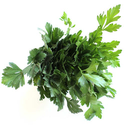 Parsley Continental (Bunch)