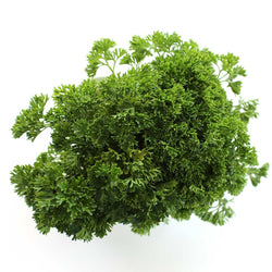 Parsley Curly (Small Bunch)