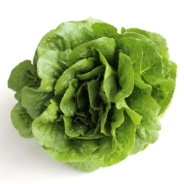 Lettuce Cos Baby (Whole)