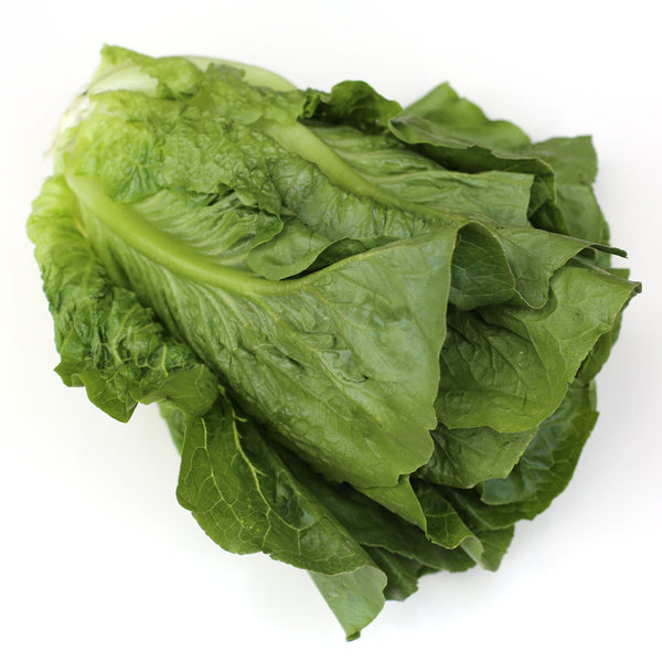 Lettuce Cos Whole