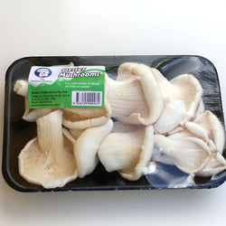 Mushrooms Oyster (250g Tray)
