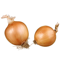 Onion Brown (Each)