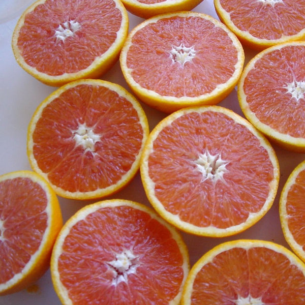 Oranges Cara Cara Blood Navel Orange (Each)