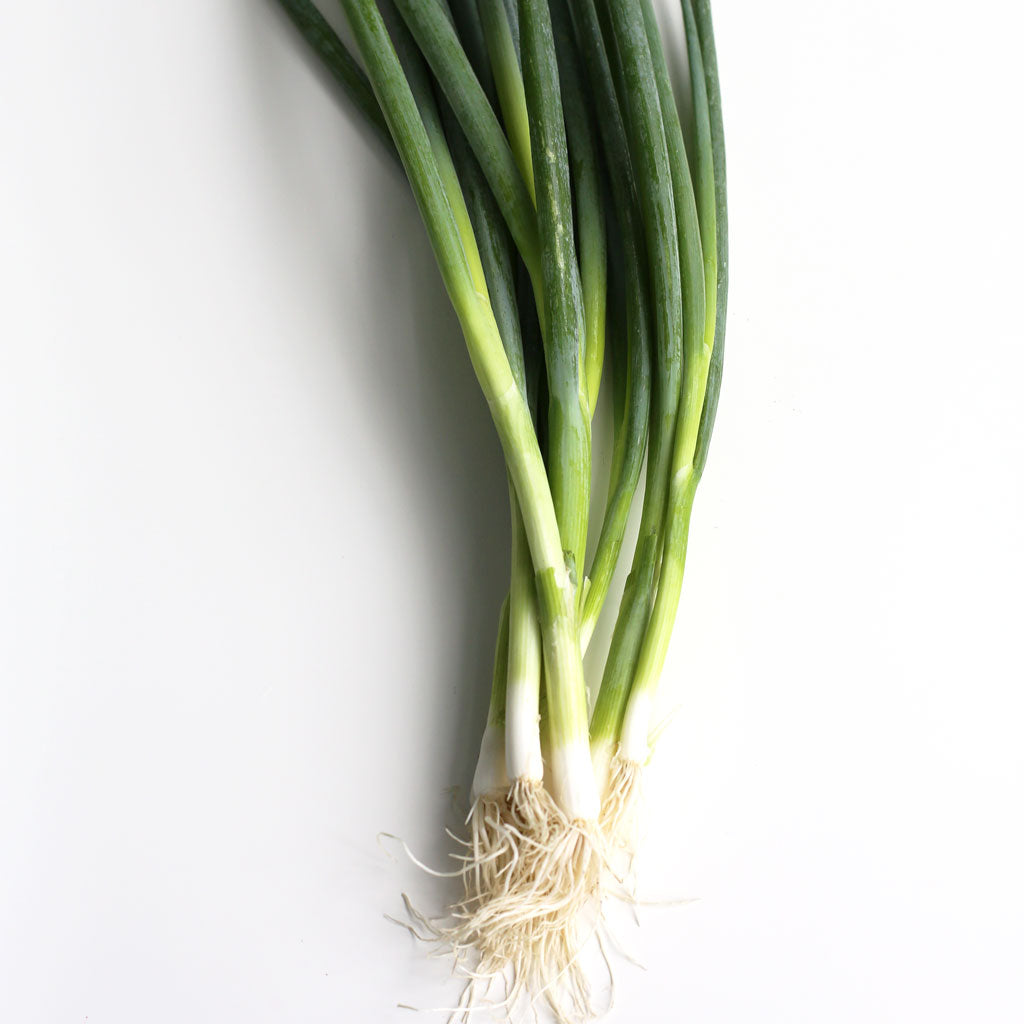 Eschallots / Shallots (Bunch) | Fenwick's Fruit Emporium