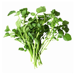 Sprouts Watercress bunch